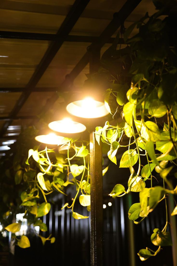 Lamparas calidas y plantas colgantes en el salon